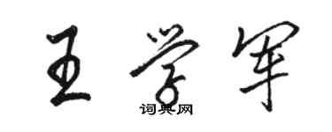 駱恆光王學軍行書個性簽名怎么寫