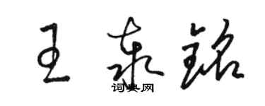 駱恆光王泰銘草書個性簽名怎么寫