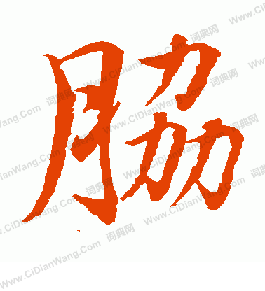 水島修三寫的肋