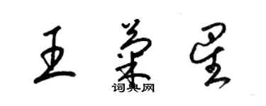 梁錦英王菊星草書個性簽名怎么寫
