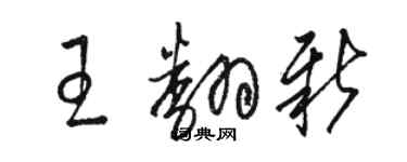 駱恆光王翻新草書個性簽名怎么寫