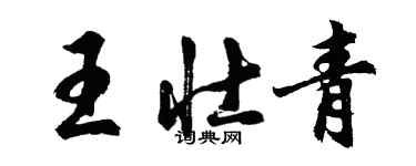 胡問遂王壯青行書個性簽名怎么寫