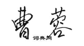 駱恆光曹蓉行書個性簽名怎么寫