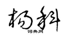 曾慶福楊科草書個性簽名怎么寫