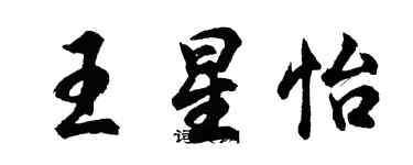 胡問遂王星怡行書個性簽名怎么寫