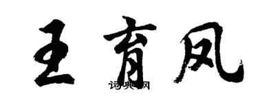 胡問遂王育鳳行書個性簽名怎么寫