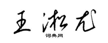 梁錦英王淞尤草書個性簽名怎么寫