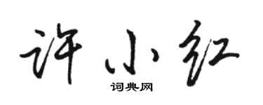 駱恆光許小紅行書個性簽名怎么寫