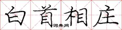 龐中華白首相莊楷書怎么寫