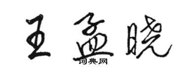 駱恆光王孟曉行書個性簽名怎么寫