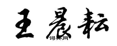 胡問遂王晨耘行書個性簽名怎么寫