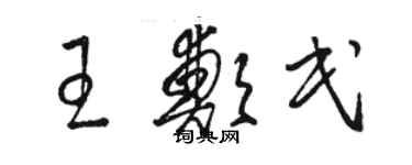 駱恆光王鄭民草書個性簽名怎么寫