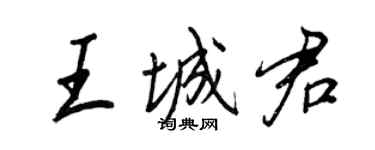 王正良王城君行書個性簽名怎么寫