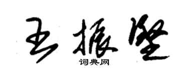 朱錫榮王振堅草書個性簽名怎么寫