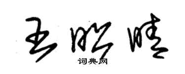 朱錫榮王昭晴草書個性簽名怎么寫