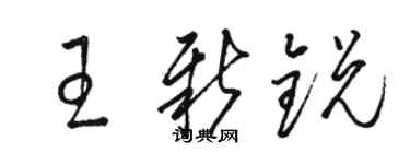 駱恆光王新銳草書個性簽名怎么寫