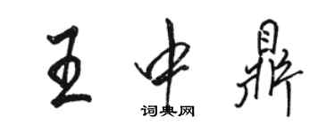 駱恆光王中鼎行書個性簽名怎么寫