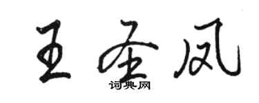 駱恆光王聖鳳行書個性簽名怎么寫