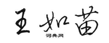 駱恆光王如苗行書個性簽名怎么寫