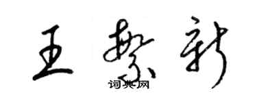 梁錦英王繁新草書個性簽名怎么寫