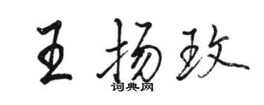駱恆光王揚玫行書個性簽名怎么寫