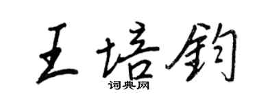 王正良王培鈞行書個性簽名怎么寫