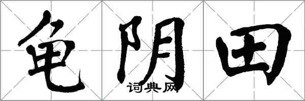 翁闓運龜陰田楷書怎么寫