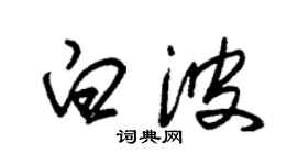 朱錫榮白波草書個性簽名怎么寫