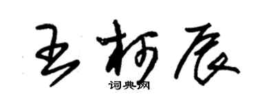 朱錫榮王柯辰草書個性簽名怎么寫