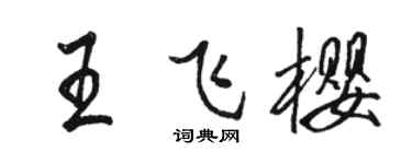 駱恆光王飛櫻行書個性簽名怎么寫