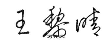 駱恆光王黎晴草書個性簽名怎么寫