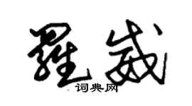 朱錫榮羅威草書個性簽名怎么寫