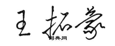 駱恆光王拓蒙草書個性簽名怎么寫