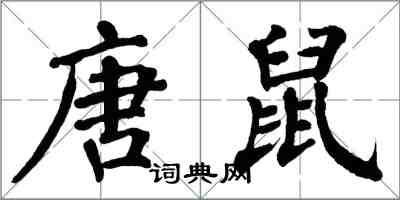 翁闓運唐鼠楷書怎么寫