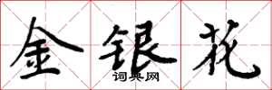 周炳元金銀花楷書怎么寫