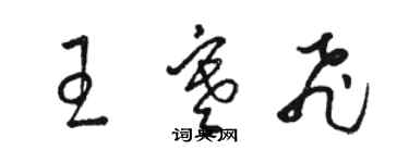 駱恆光王寒飛草書個性簽名怎么寫