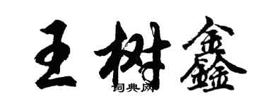 胡問遂王樹鑫行書個性簽名怎么寫