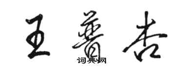 駱恆光王普杏行書個性簽名怎么寫