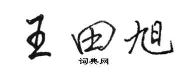 駱恆光王田旭行書個性簽名怎么寫