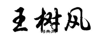 胡問遂王樹風行書個性簽名怎么寫