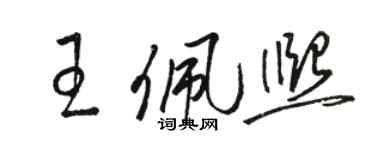 駱恆光王佩熙草書個性簽名怎么寫