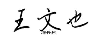 王正良王文也行書個性簽名怎么寫
