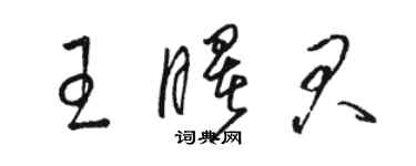 駱恆光王曙君草書個性簽名怎么寫