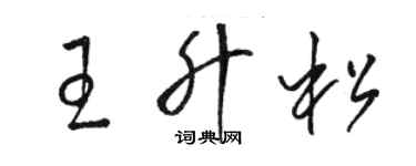 駱恆光王升松草書個性簽名怎么寫