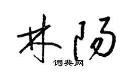 梁錦英林陽草書個性簽名怎么寫