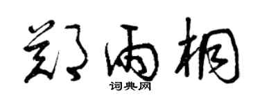 曾慶福鄭雨桐草書個性簽名怎么寫