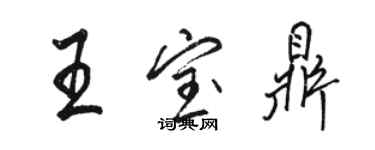 駱恆光王寶鼎行書個性簽名怎么寫