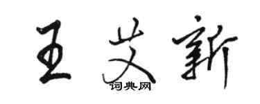 駱恆光王艾新行書個性簽名怎么寫