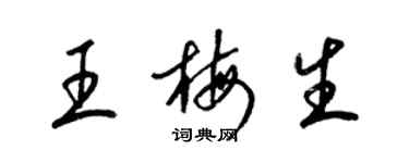 梁錦英王梅生草書個性簽名怎么寫