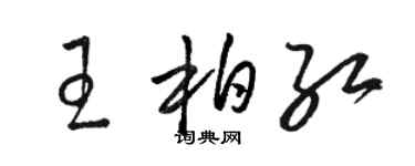駱恆光王柏紅草書個性簽名怎么寫